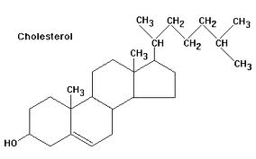 Steroid hormones come from what lipid
